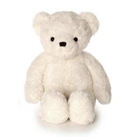 TEDDY